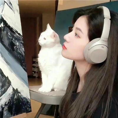 旧案寻凶
